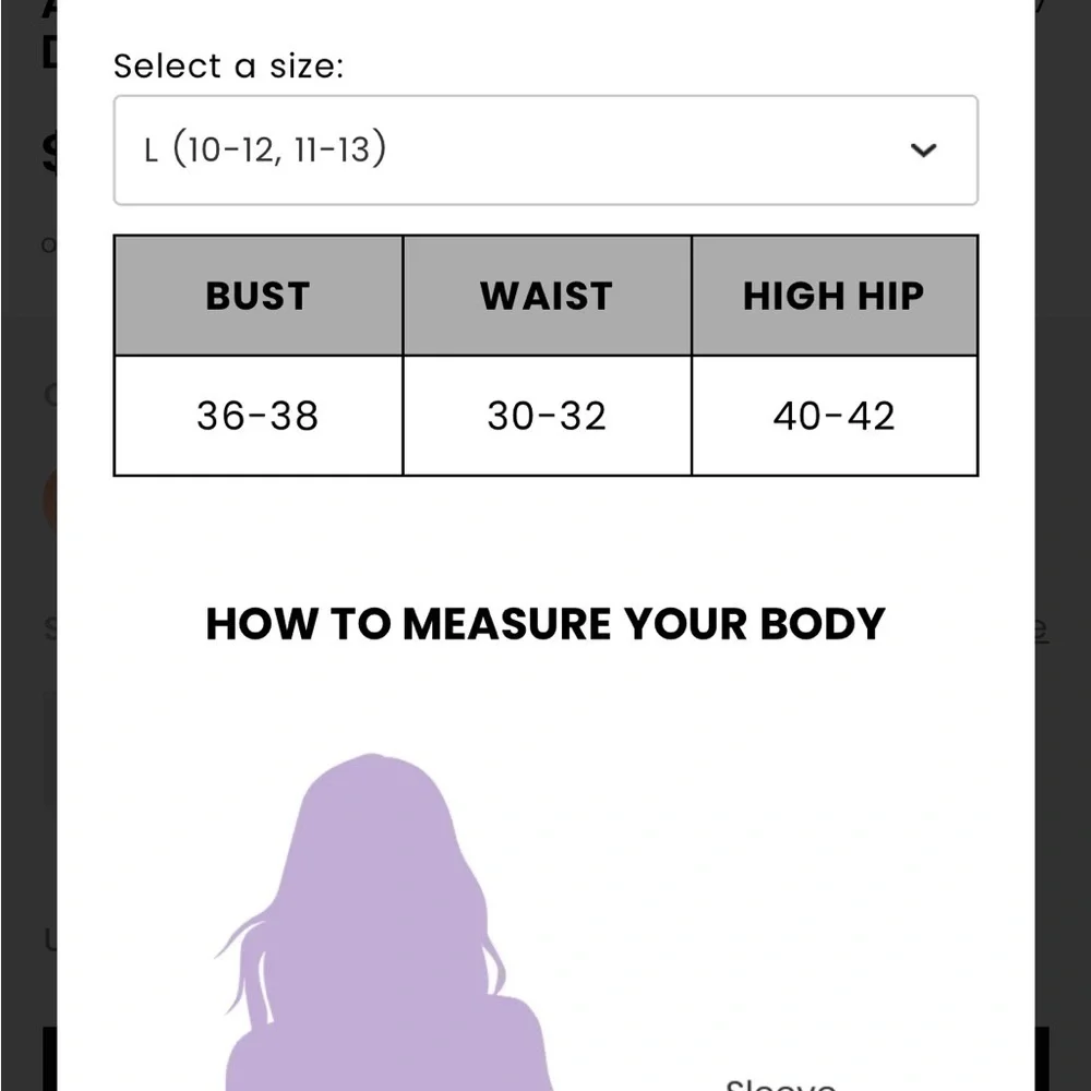 Windsor women’s size Large dress black nude lace velvet gown party maxi slit - Picture 9 of 10